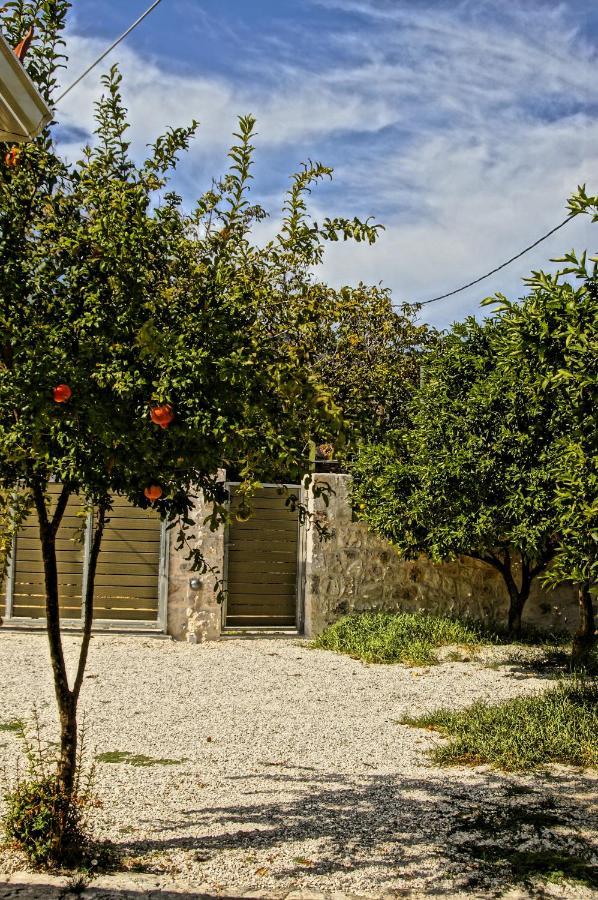 Andipáta Unity Villa מראה חיצוני תמונה
